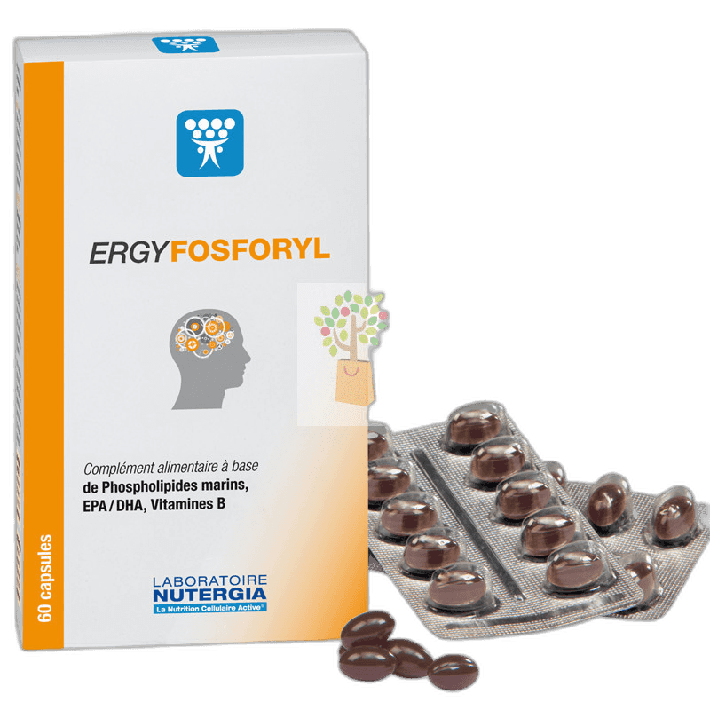 Imagen de ERGYFOSFORYL 60 PERLAS NUTERGIA