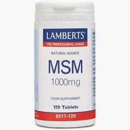 Imagen de Msm Lamberts 1000 Mg 120 Tabletas