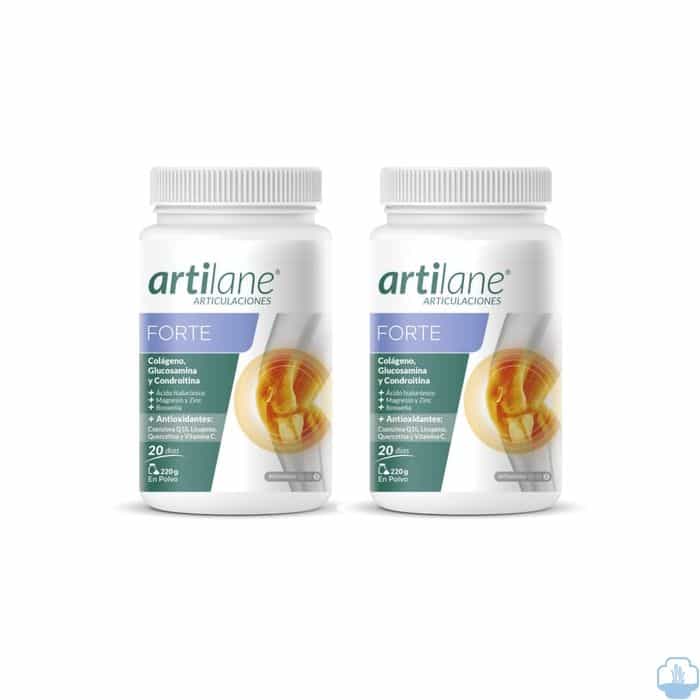 Imagen de PROMO DUPLO ARTILANE FORTE POLVO 2X220 GR