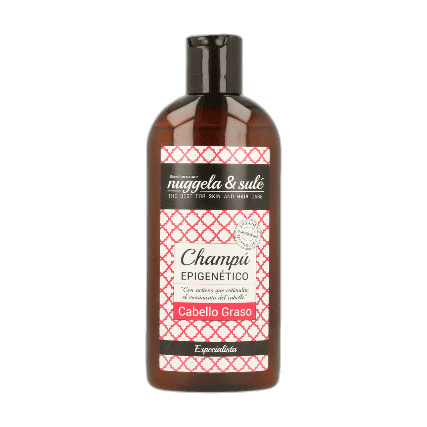 Imagen de CHAMPU EPIGENETICO CABELLO GRASO 1 ENVASE 250 ML