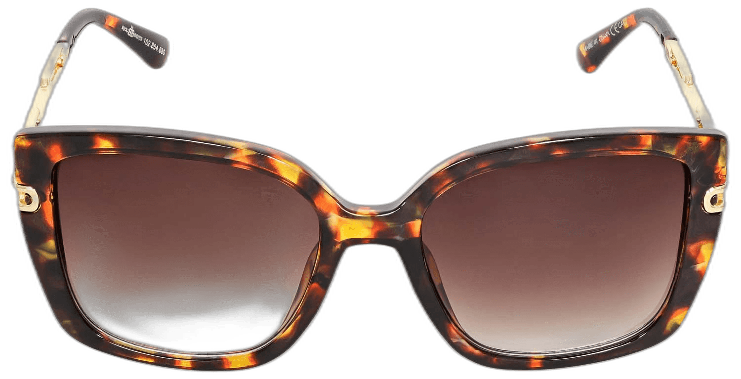 Imagen de GAFAS DE SOL F171589 BROWN GARNET
