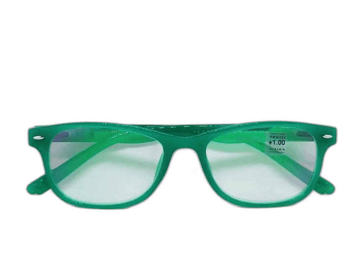 Imagen de GAFAS SALAMANDRA GREN II +1.00
