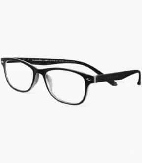 Imagen de Gafas Salamandra Grey +2.50