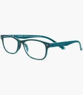 Imagen de Gafas Salamandra Green +3.00
